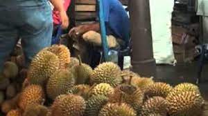 Tapi nanti habislah kereta aku bau durian… ish, boleh pening dibuatnya. Dilarang Bawa Durian Gadis Ini Lakukan Hal Tak Terduga Bikin Penumpang Kereta Ngakak Surya Malang