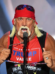 Hulk Hogan: You want me to body slam Kamala Harris?