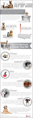 Simple Steps To Groom Your Pet At Home Visual Ly Dog Grooming Tips Dog Grooming Pet Grooming