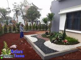 Dengan kata lain rumput gajah mini merupakan rumput terlaris di pasaran saat ini. Tukang Rumput Gajah Cikande Gajah Mini Di Bekasi Murah Berpengalaman Dan Profesional Tukang Rumput Tukang Taman Tukang Pupuk Kandang