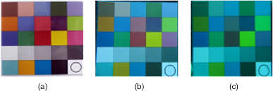 Single Underwater Image Enhancement Based On Color Cast