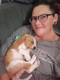 The Lubbock Animal Shelter Needs Your Blankets And Towels