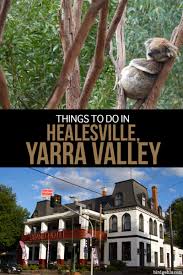 Things To Do In The Yarra Valley On A Whirlwind Day Out Yarra Valley Oceania Travel Australia Travel