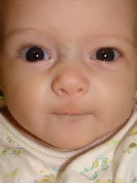 The Gallagher Family: Our First Week In Kodiak, AK!