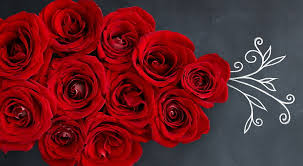 Redroses Hd Wallpapers Free Download Wallpaperbetter