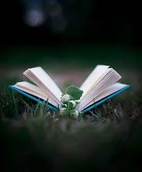 39 Ideas Book Photography Wallpaper Iphone Wallpapers Photography Wallpaper Book Photography Iphone Wallpaper Photography