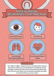 Science Of Love Infographic Shows What Our Mind And Body Experiences Science Of Love Fight Or Flight How To Create Infographics