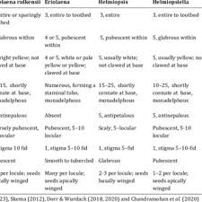 Image result for Eriolaena rulkensii