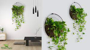 Money Plant Wall Hanging Idea For Home Room Garden Idea For Wall Hangi Hanging Plant Wall Plant Wall Hanging Plants