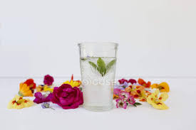 Where can i buy edible flowers? Glass Of Mint Water With Edible Flowers Drink Healthy Eating Stock Photo 232261552