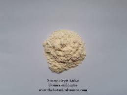 Image result for Synaptolepis