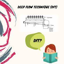 Nft Dan Dft Membaca Blog Hidroponik