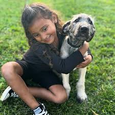 This puppy is available for its forever home. Checkout 3 Sisters Farms