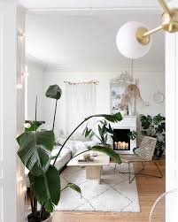Pflanzen Bilder Ideen Couch