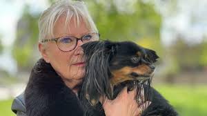 « Des maîtres ne les contrôlent pas » : lorsque les chiens font peur aux  promeneurs