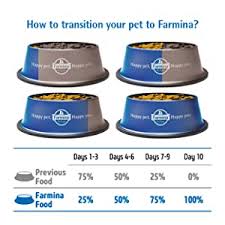 We did not find results for: Farmina Nandd Grain Free Pumpkin Lamb And Blueberry Puppy Food 12 Kg Medium And Maxi Amazon In Pet Supplies