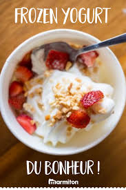 Frozen Yogurt Du Bonheur Recette Recette Yaourt Glace Recette Glace Recette Yaourt