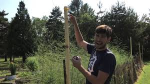 This works, we tried this 2 years ago in the orchard and garden and it completely stopped the. Cheap And Easy Deer Proof Garden Fencing Using Fishing Line Youtube