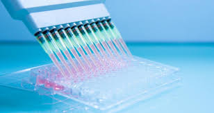 Image result for invitro