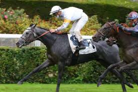 V.cheminaud 05 barakatle jockey : Grand Prix Des Femmmes Jockeys San Valentina Sur L Hippodrome De Paris Longchamp
