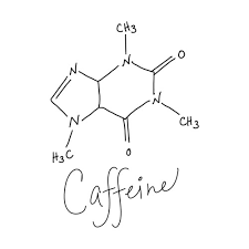 Kaitlyn Hocking (hocking0698)