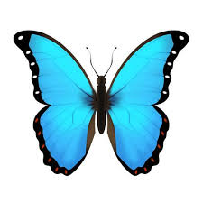 Butterfly Emoji Yahoo Image Search Results Blue Emoji Blue Butterfly Cute Emoji Wallpaper