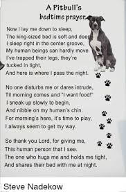 Pin On Dog Poems Pit Bull