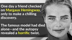 Section TV] 섹션 TV