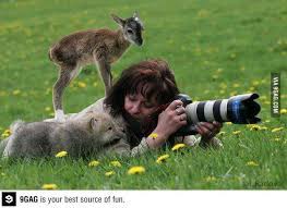Wildlife Photography Cute Animals Cute Baby Animals Funny Animal Memes