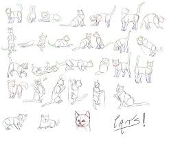 Pin By Mj128 On Sketching Animals Plants And Humans In 2021 Cat Sketch Cat Anatomy Animal Drawings