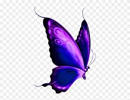 See purple butterfly stock video clips. Purple Butterfly Clipart Free Clip Art Library Purple And Blue Butterfly Free Transparent Png Clipart Images Download