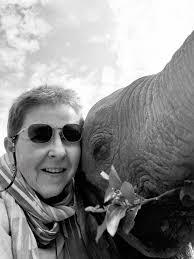 Ray-ban meta lost ia functions after message?