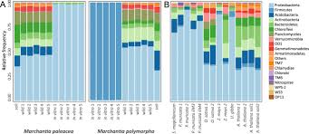 Maybe you would like to learn more about one of these? Marchantia Liverworts As A Proxy To Plants Basal Microbiomes Scientific Reports