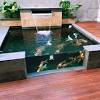 Kolam ikan memang menjadi elemen paling penting ketika anda ingin memelihara ikan. 1