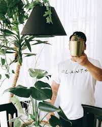 7 Online Shops Where You Can Buy The House Plants Of Your Dreams House Plants Live House Plants House Plants Indoor
