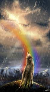 Wolf Song Hayvanlar