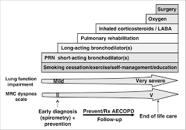 Image result for COPD Management