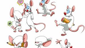 Pinky and the brain res: Pinky And The Brain Wallpaper Download To Your Mobile From Phoneky
