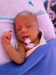 shane daugherty On Threads