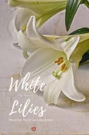 The most common meanings of blue follows are: 140 Funeral Flower Meanings Ideas In 2021 Flower Meanings Funeral Flowers Funeral Flower Arrangements