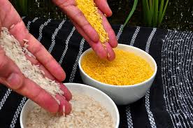 The idea of modifying an organism genetically sounds exciting however, the genetically modified organisms pros and cons have not been studied on a long term till date. Golden Rice Wikipedia
