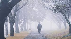 Confira abaixo a expectativa da nova estação para cada região do brasil. Nyq4fptl0y1ldm