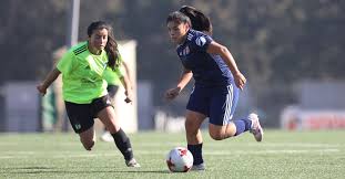 Add a bio, trivia, and more. Series Femeninas Retomaran La Competencia Del Torneo Visitando A Fernandez Vial Udechile Cl