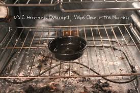 Cleaning Shortcuts Five Time Saving Tips For The Kitchen Oven Cleaning Cleaning Recipes Cleaning Hacks