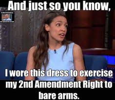 Of homeland security is moronic, stupid, naive and dumb. Aoc Airhead