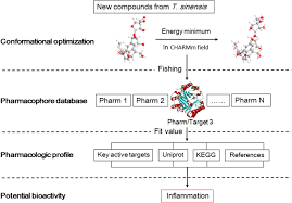 Image result for Rhabdophyllum arnoldianum