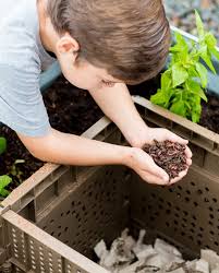 Onion skins and scraps do not harmfully affect the microbes present in your compost pile. What Is Compostable Easy Tips For Composting Laptrinhx News