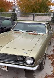 Image result for Ash Gold 1968 Camaro