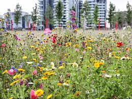 Le caratteristiche del progetto rendono il parco il luogo in cui vive una nuova concezione del rapporto tra natura e città. A Green Heart In Milano The Biblioteca Degli Alberi Wow Ways Of Working Webmagazine