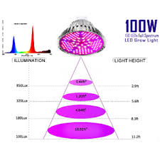 We did not find results for: Amazon Com 100w Led Grow Light Bulb Full Spectrum Plant Light Bulb With 150 Leds For Indoor Plants E26 E27 Socket Grow Lamp For Hydroponic Indoor Garden Greenhouse Succulent Veg Flower Patio Lawn Garden